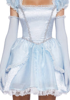 Glass Slipper Dreams Premium Costume Set